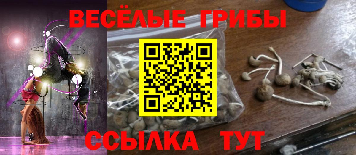 Галлюциногенные грибы ЛСД Кандалакша
